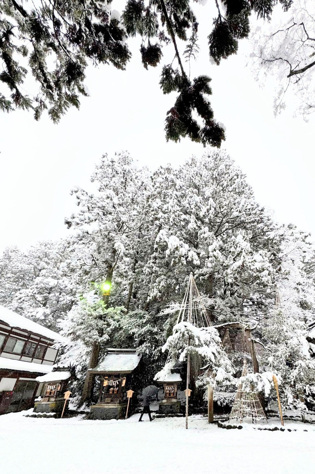 雄山神社に初詣へ