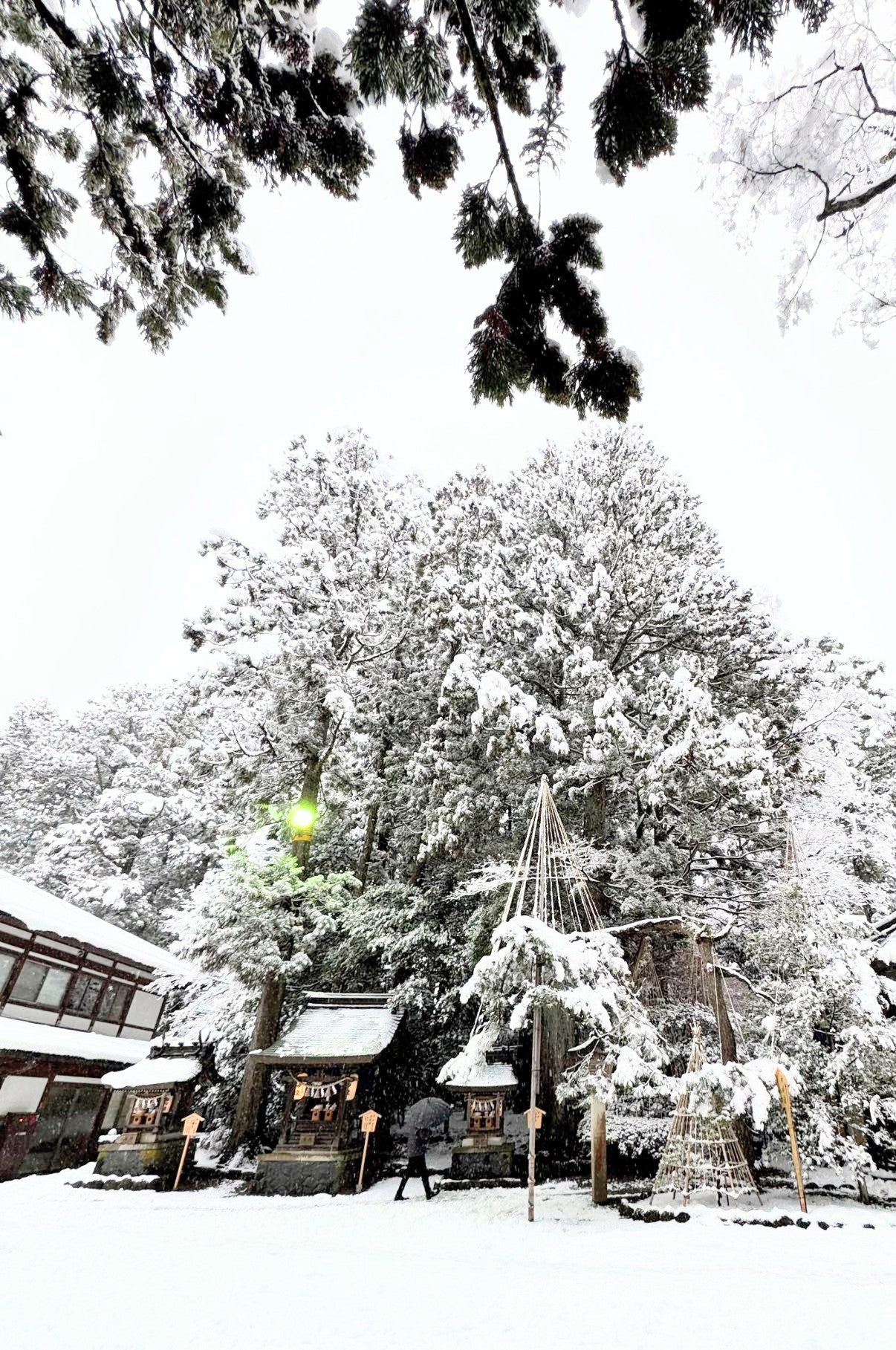 雄山神社に初詣へ