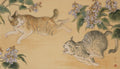 猫阿吽画
